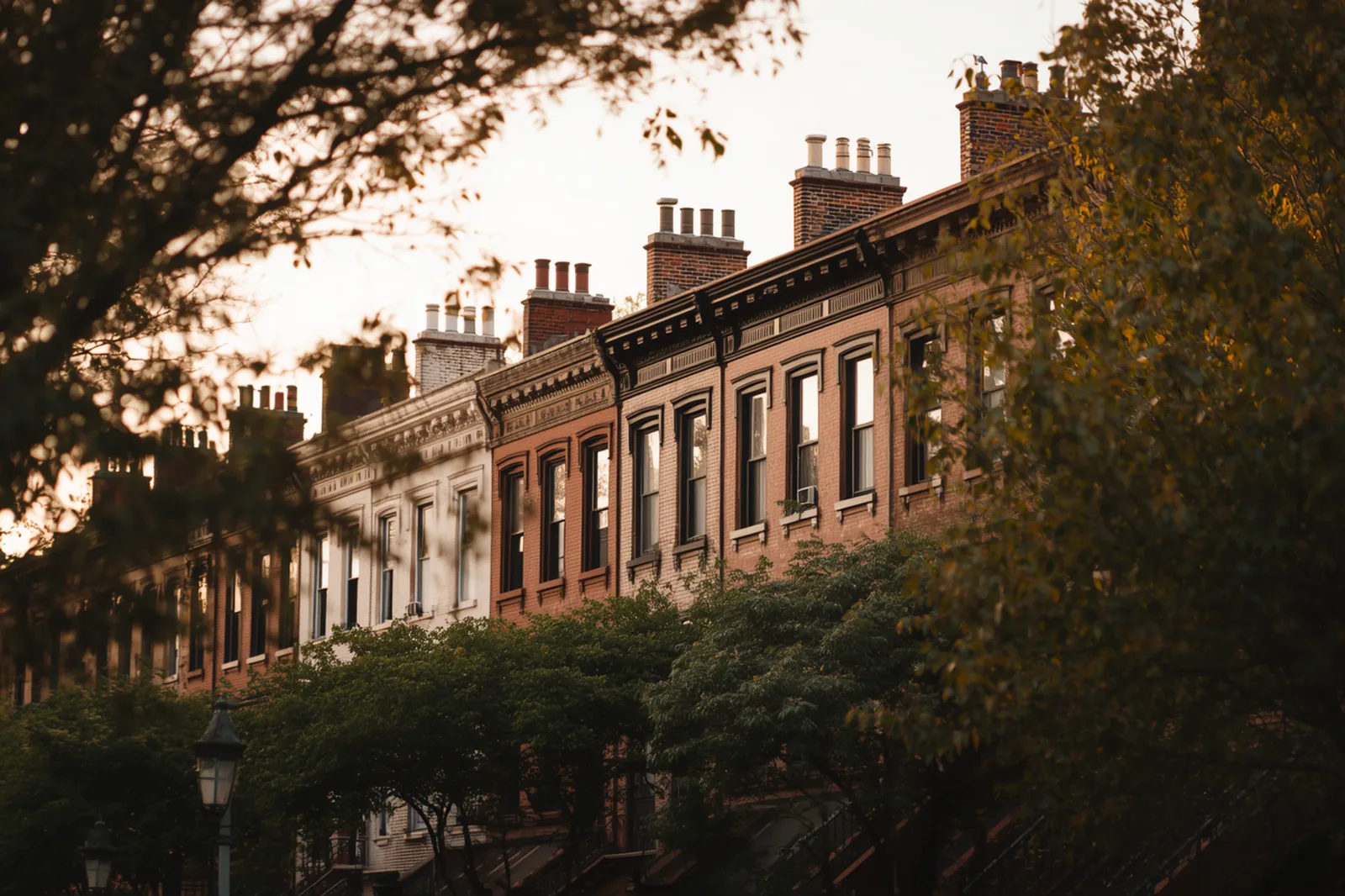 Brownstone rooflines and chimney stacks on a Crown Heights street